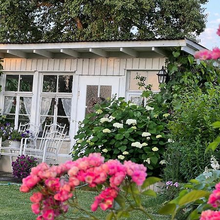 Cafe Canape, Wohlfuehlen Im Schoenen Hof Zwischen Ravensburg & Bodensee Buitenkant foto